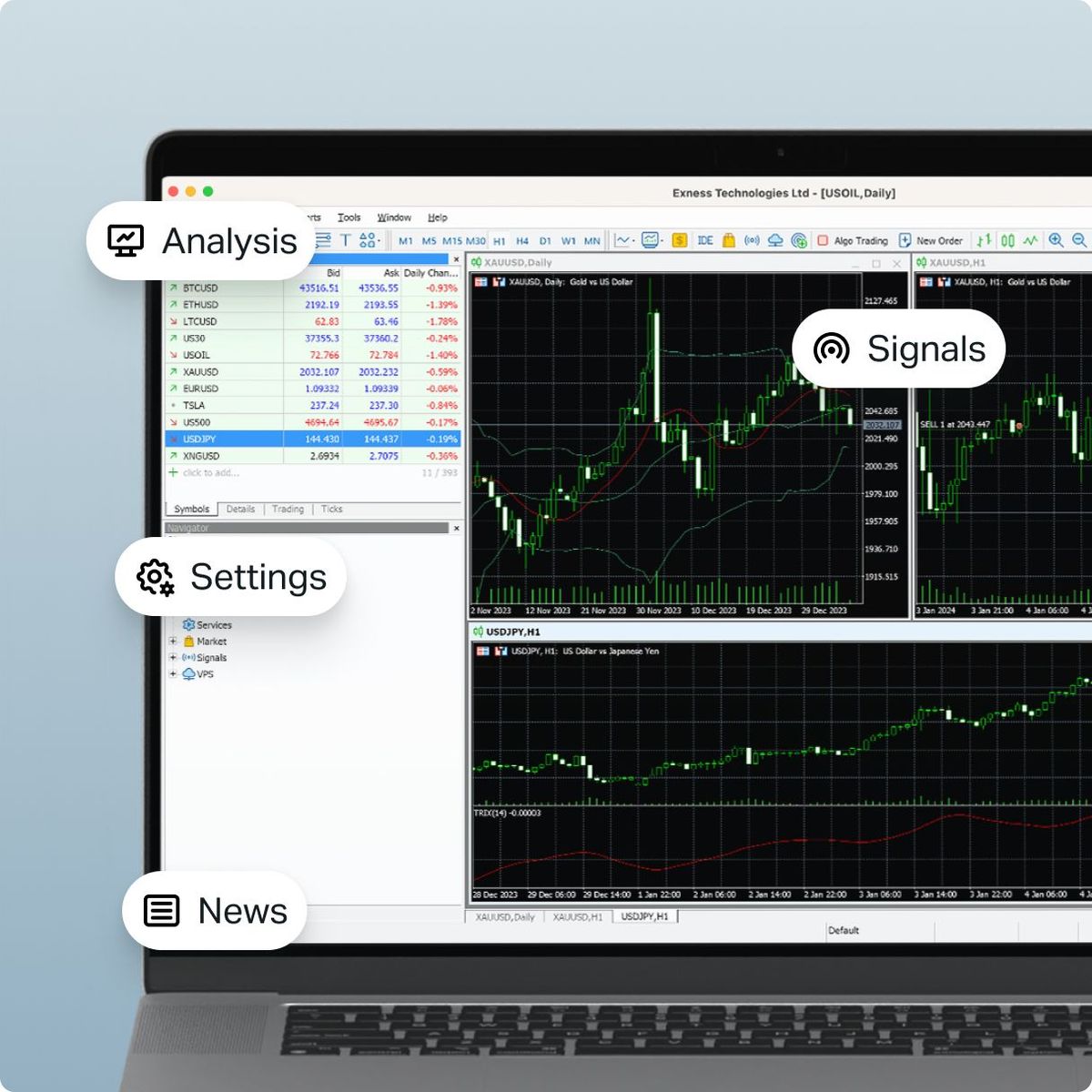 about Tradvx